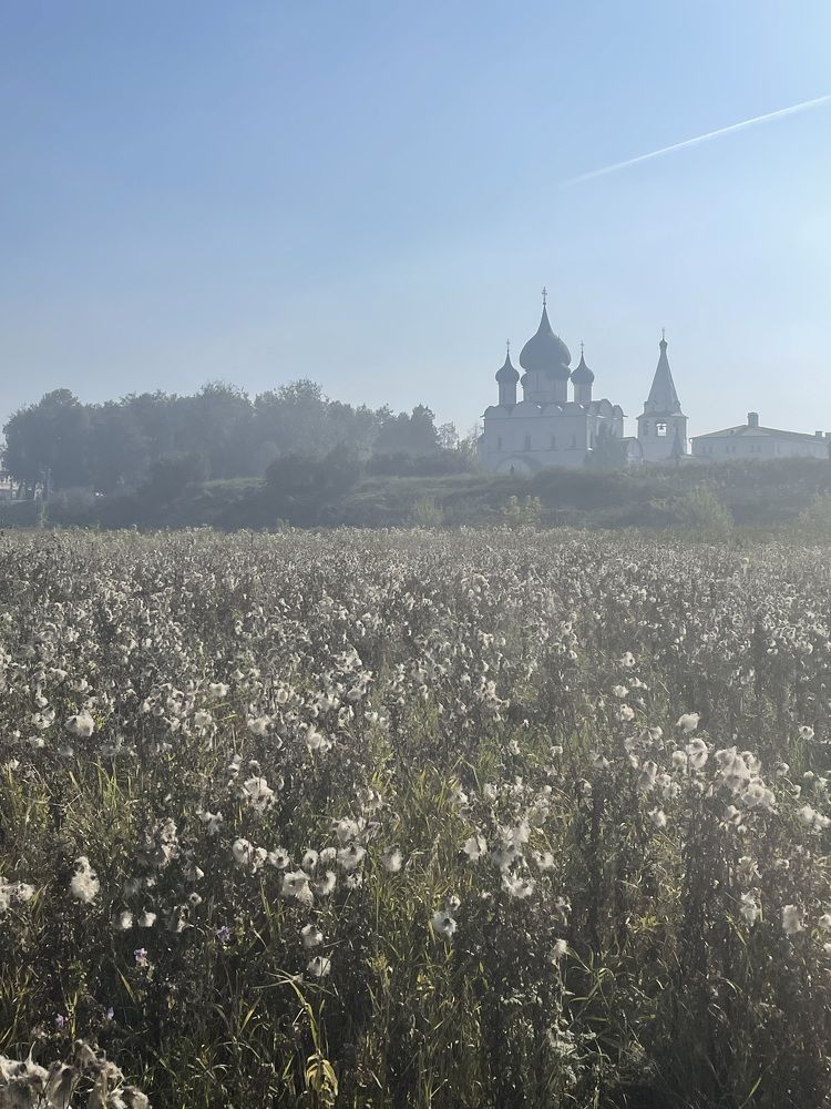 Photograph by ирина