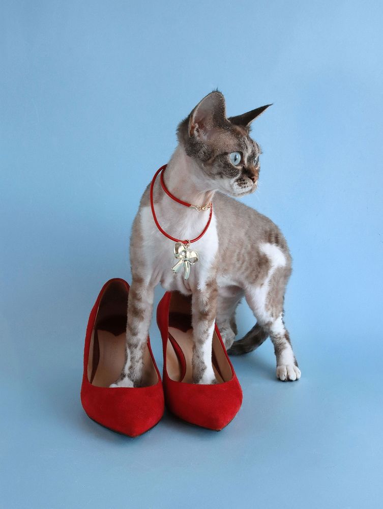 Photograph by Anna Medvedeva