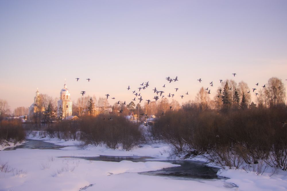 Фотография автора Светлана Роткина