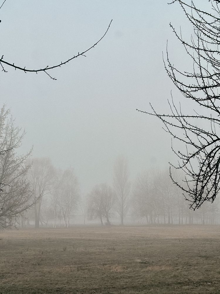 Фотография автора Наталья Тургулайнен