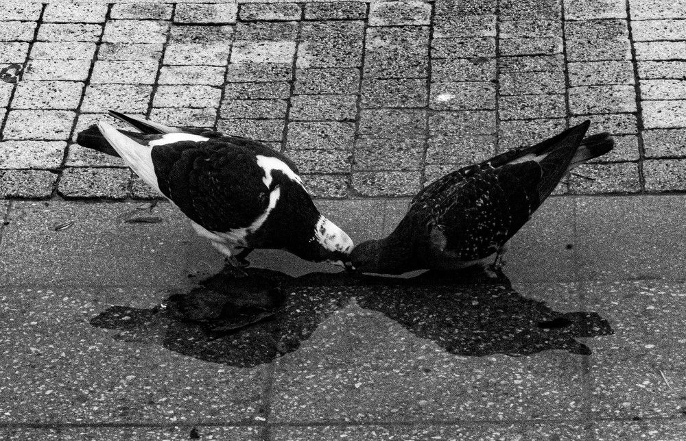 Photograph by Igor Shulkin