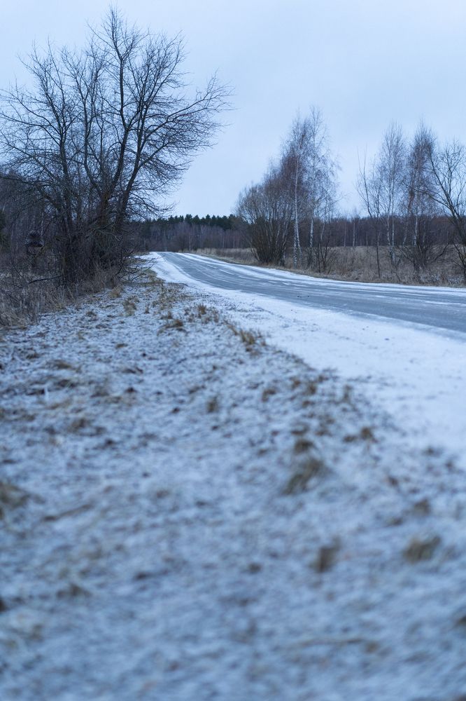 Photograph by Елизавета Фирстова