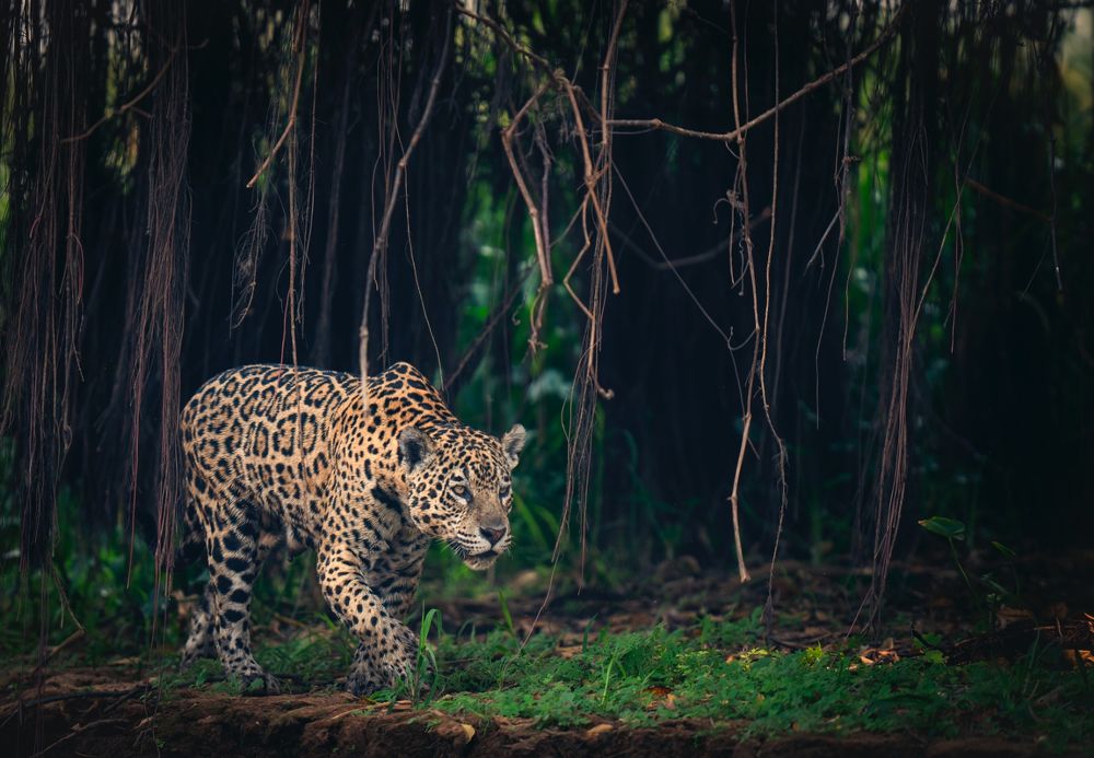 Photograph by Merche Llobera