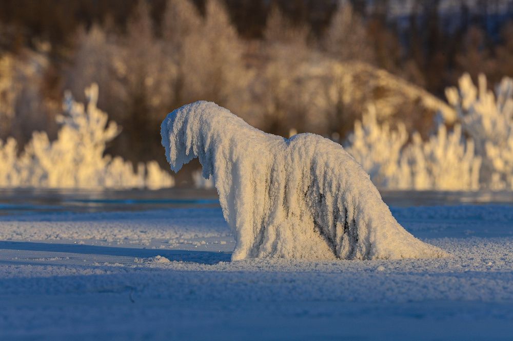 Photograph by Олег