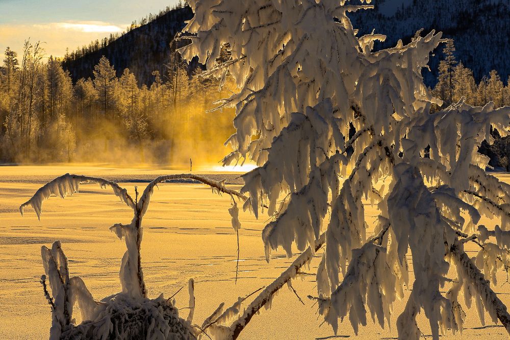 Photograph by Олег