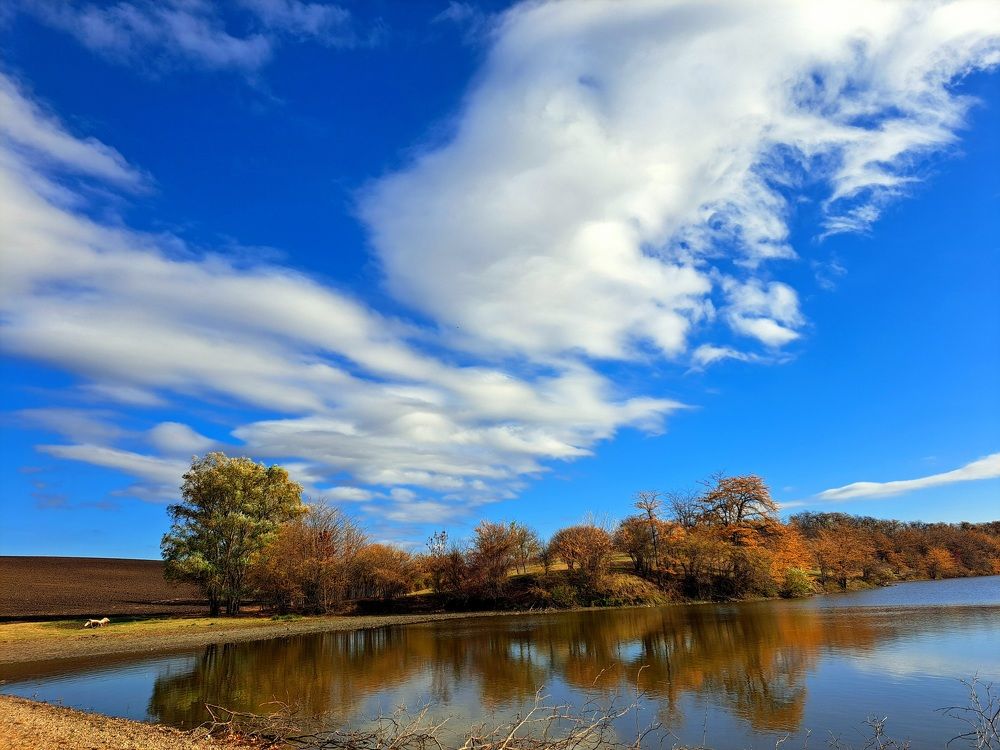 Photograph by Anna Volodina