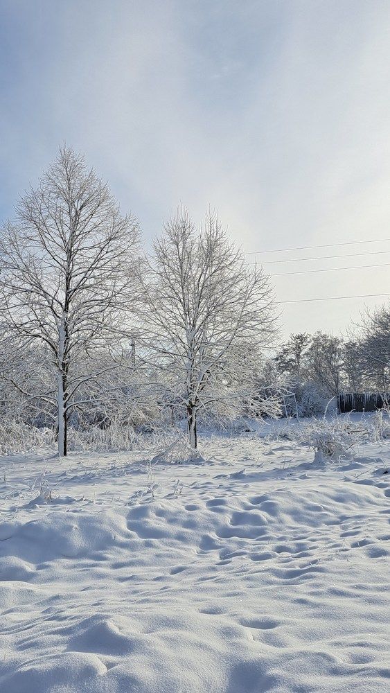 Photograph by Anna Volodina