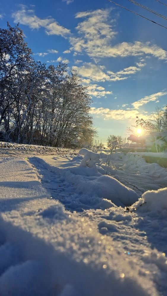 Photograph by Anna Volodina