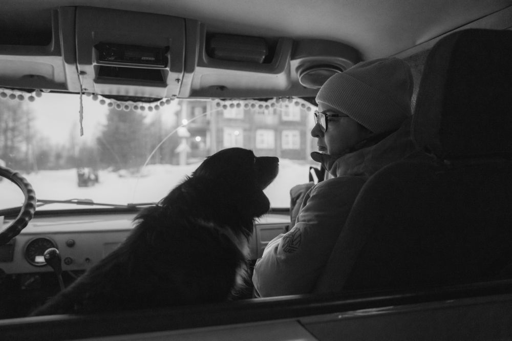 Photograph by Ковригина Евгения