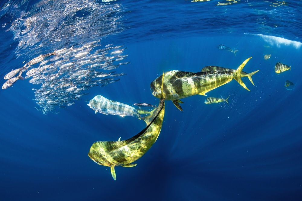 Photograph by Merche Llobera