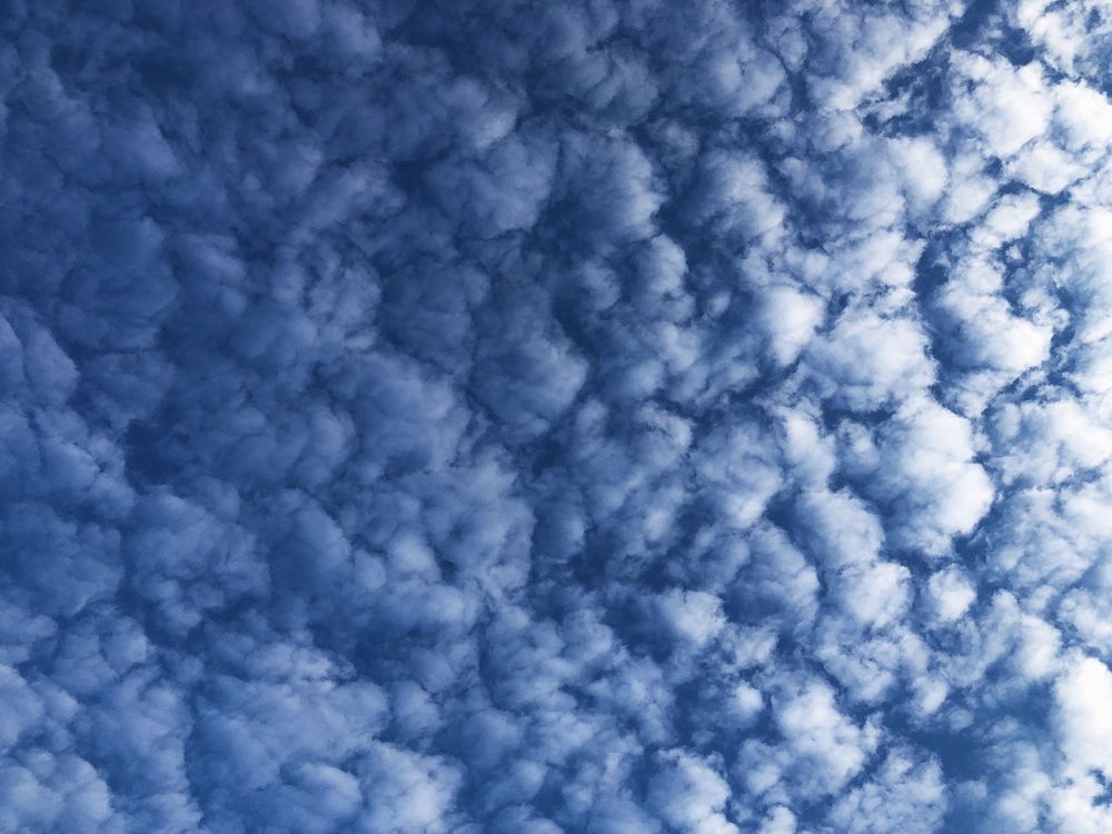 Photograph by Ольга Гущина