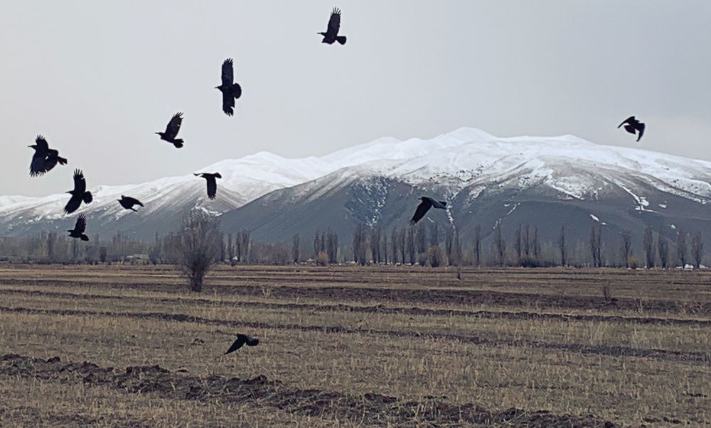 Photograph by Низовцева Елена