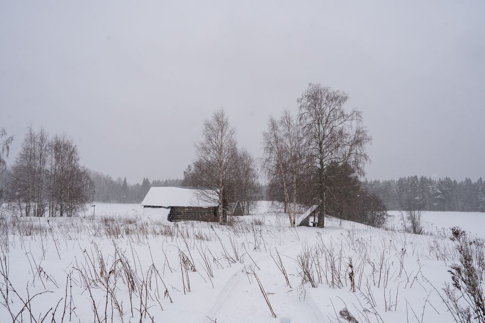 Photograph by Ковригина Евгения