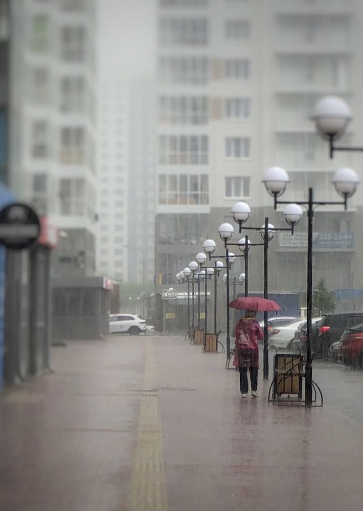 Фотография автора Светлана Гончарова