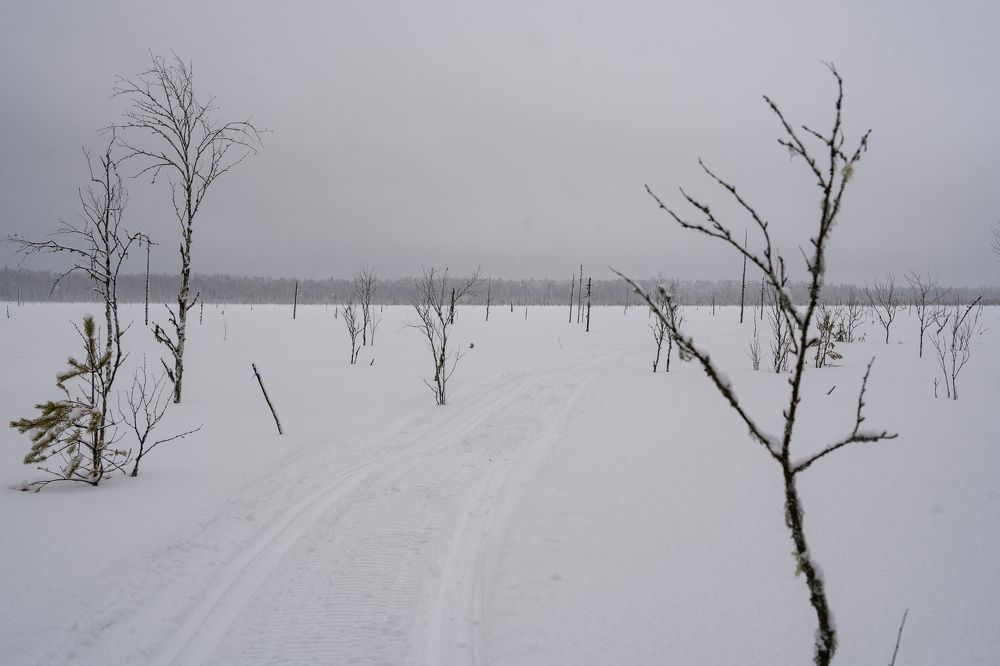 Photograph by Ковригина Евгения