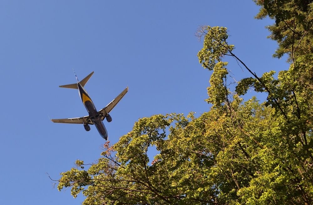 Photograph by Анастасия Дросу