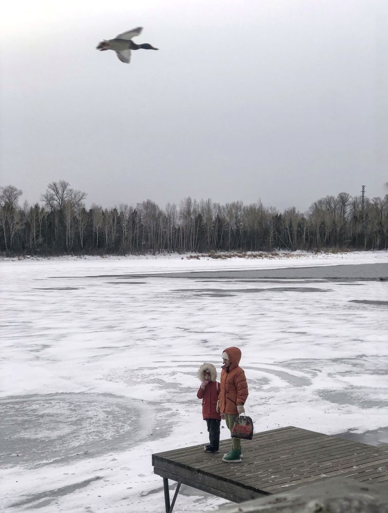 Фотография автора Светлана Гончарова