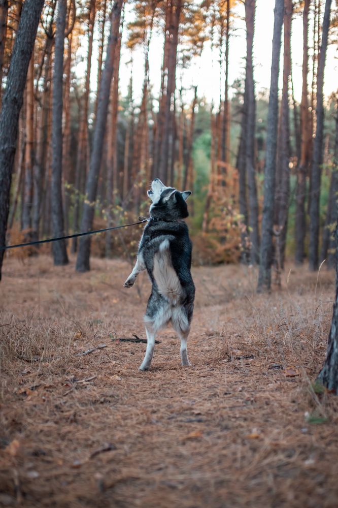 Photograph by Анопченко Ирина
