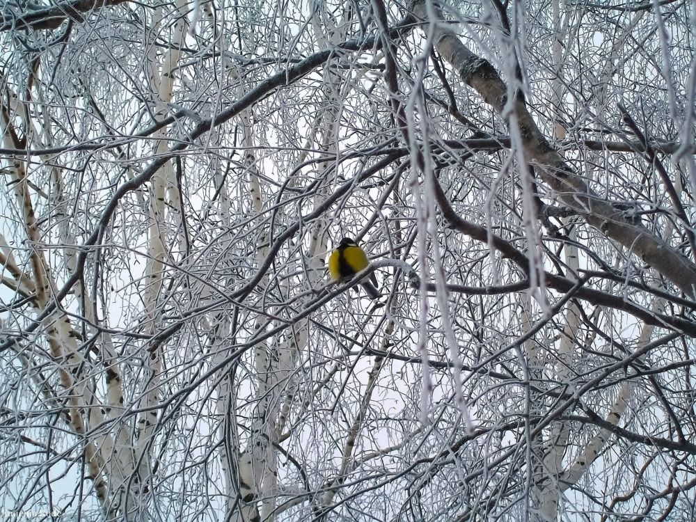 Photograph by Евгения Роде