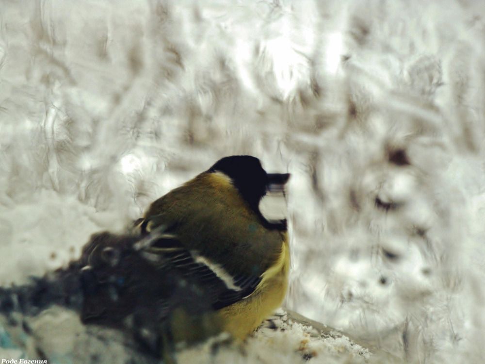 Photograph by Евгения Роде