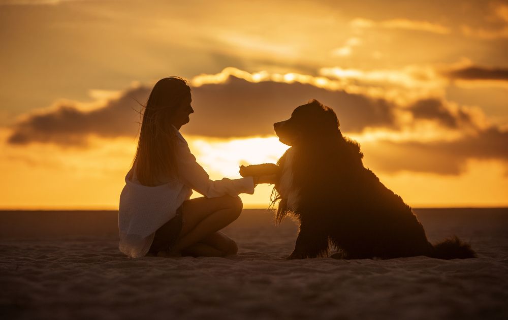 Photograph by Alexandre Marques