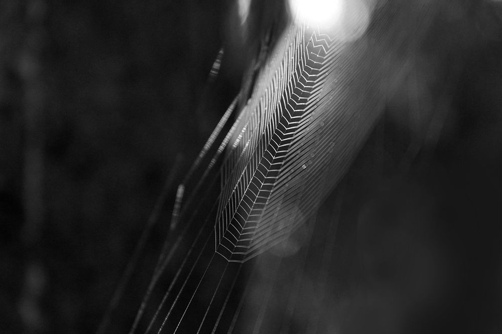 Photograph by Ольга Пуховникова