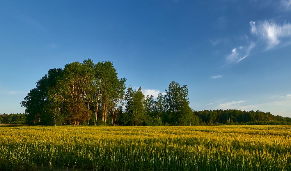 Фотография автора Евгений Трофимов