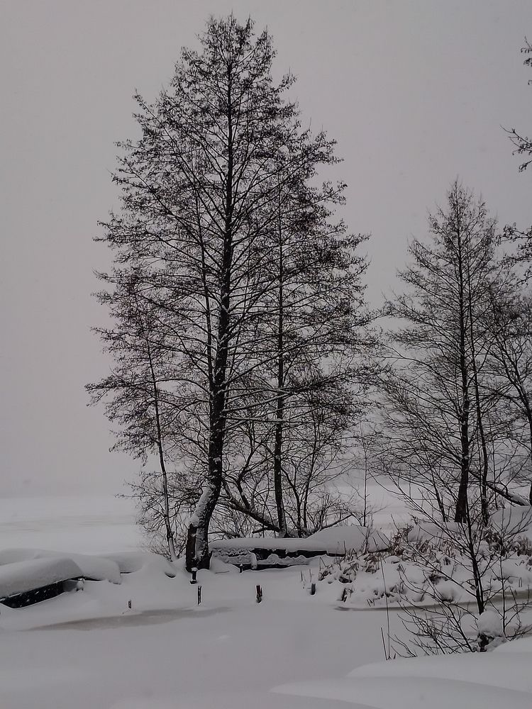 Photograph by Елена Квасова