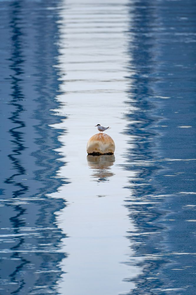 Photograph by Jayakumar MN