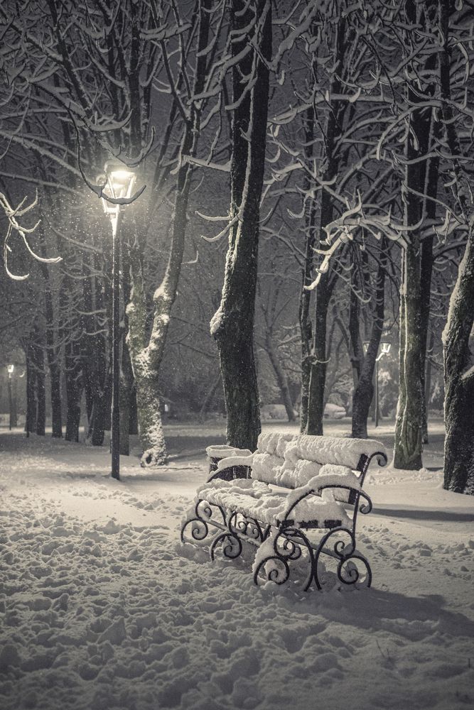 Photograph by (AlexOldmanPhoto) Алексей Стариков