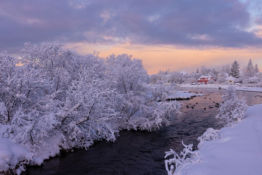 Photograph by Bragi Kort