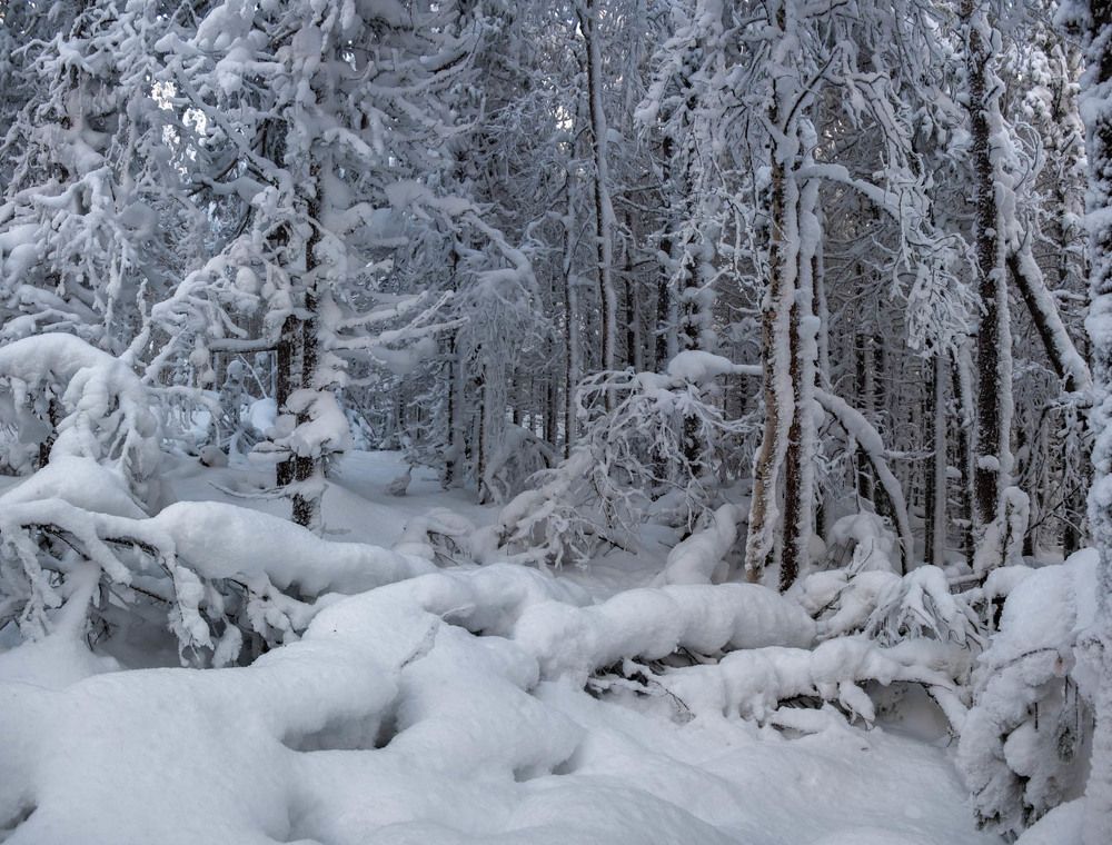 Фотография автора Госпадарёв Александр