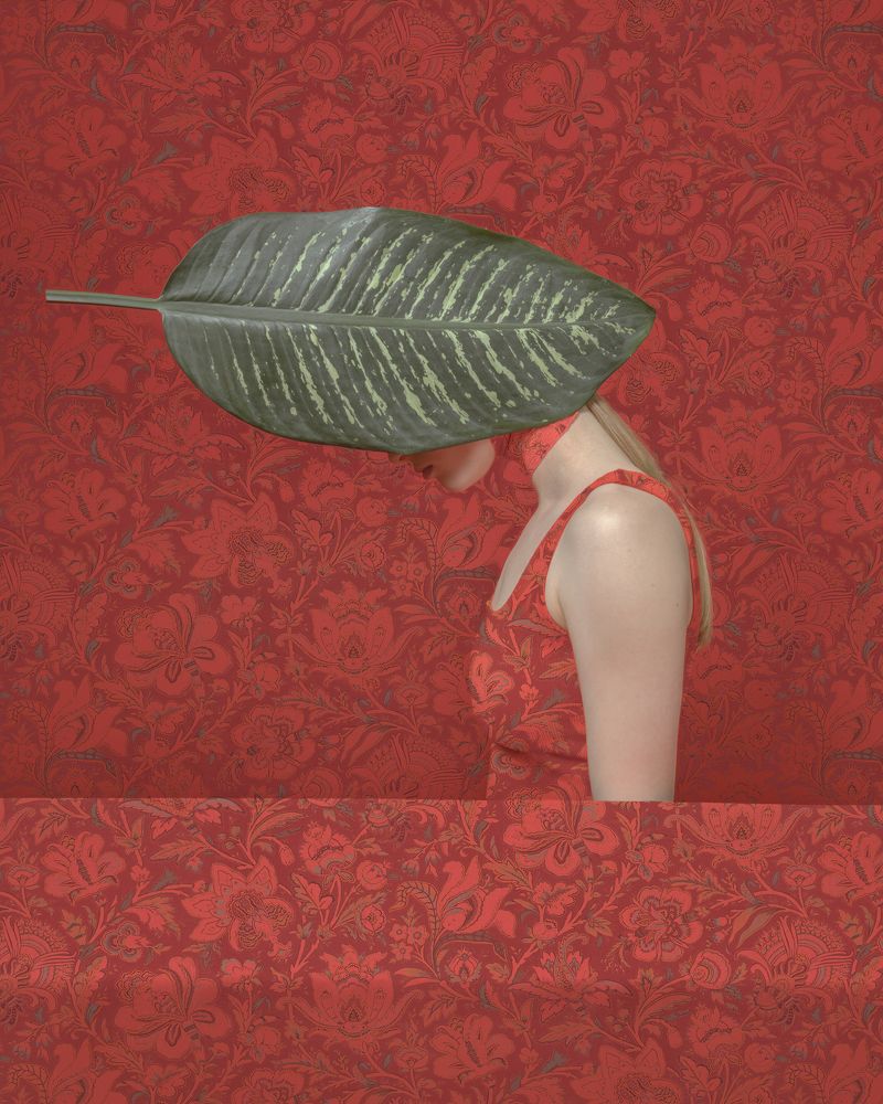 След природы