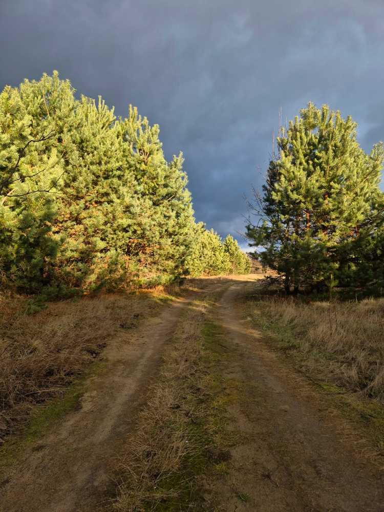 Photograph by Юлия