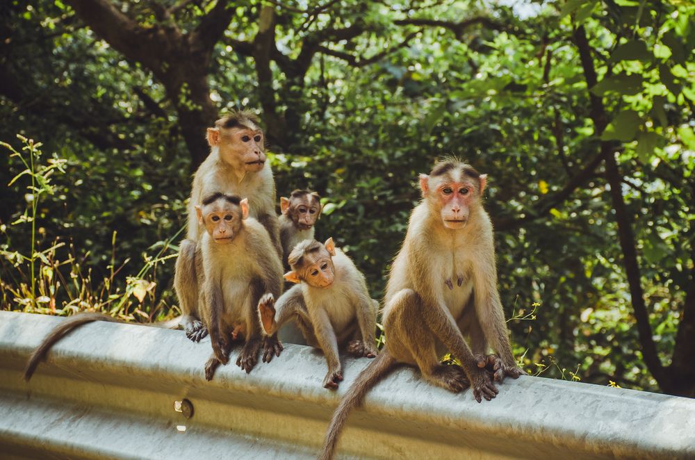 Photograph by Юлия Подлеснова