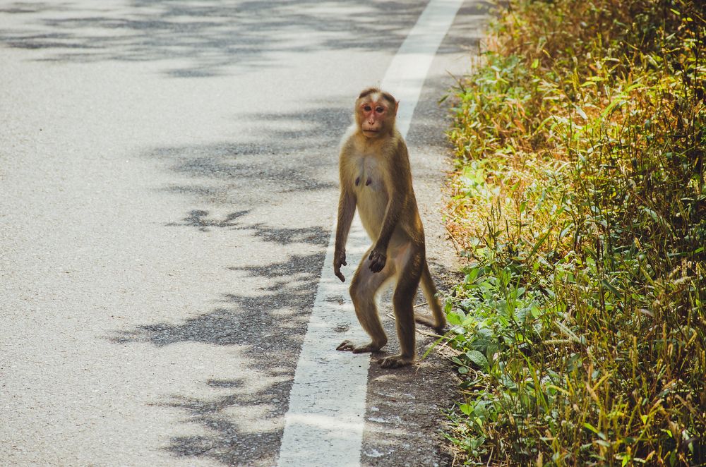 Photograph by Юлия Подлеснова