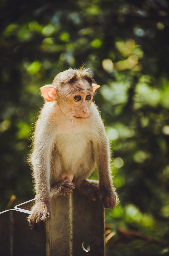 Photograph by Юлия Подлеснова