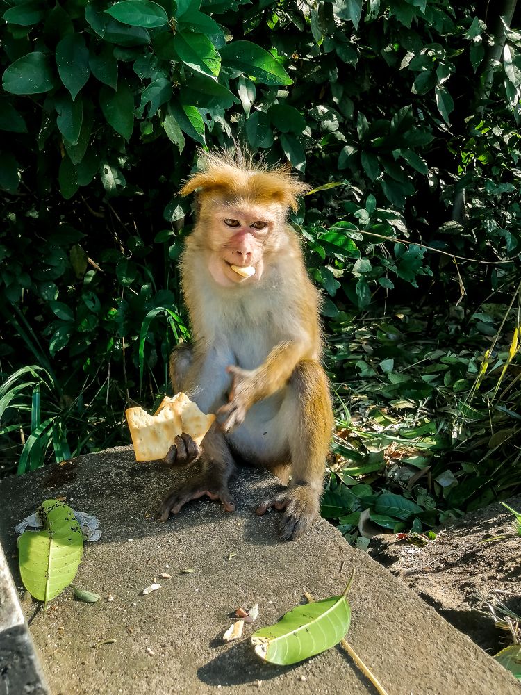 Photograph by Юлия Подлеснова