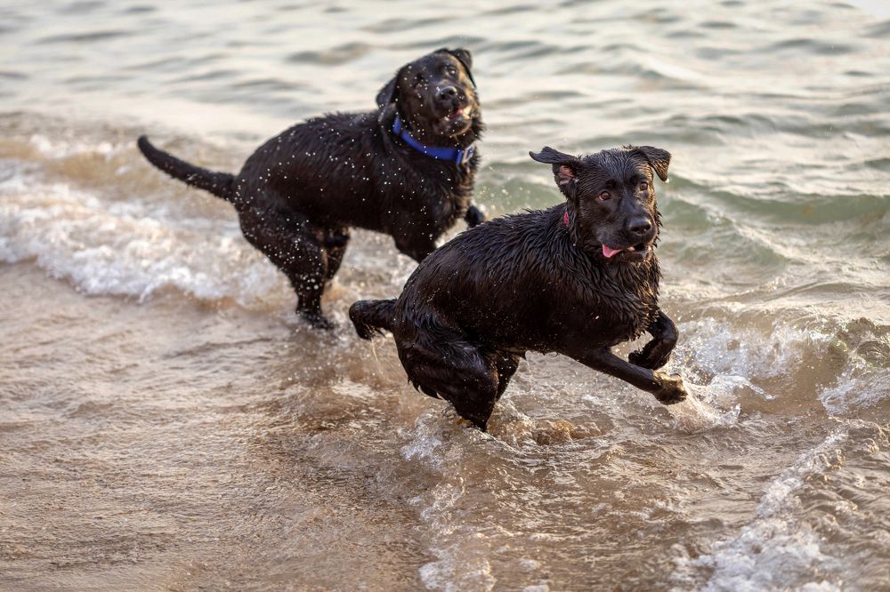 Игры в море