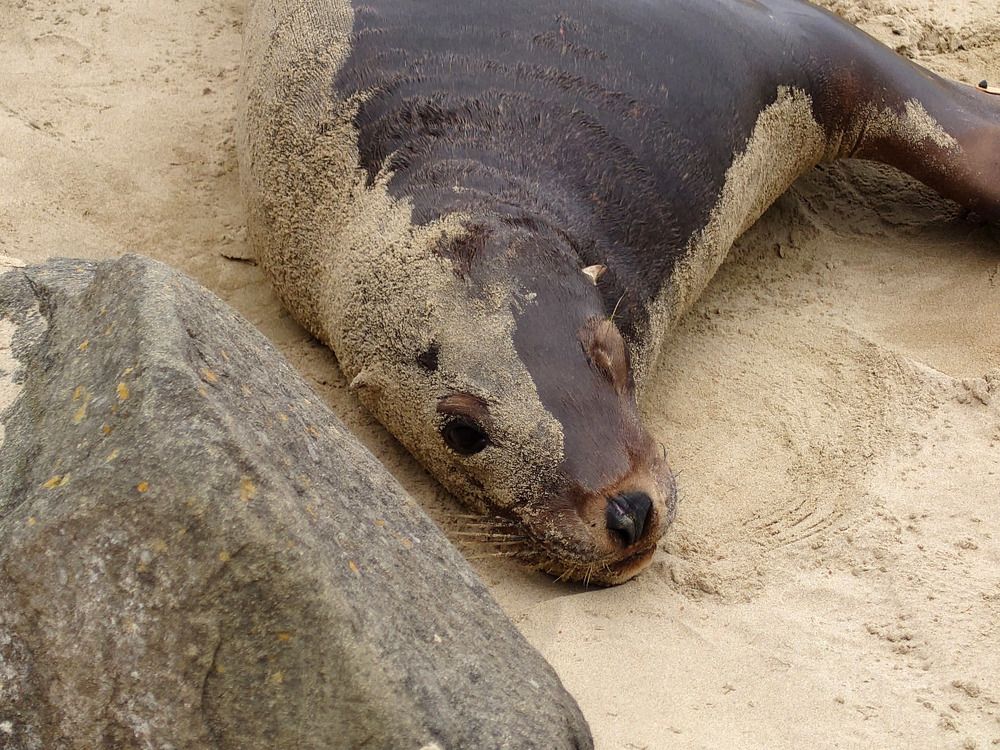 Photograph by Марина