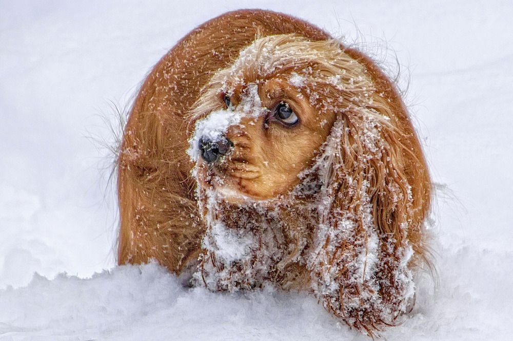 Photograph by Анатолий Чесноков