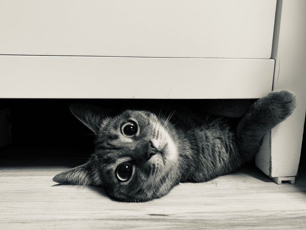 Photograph by Дмитрий Соколов