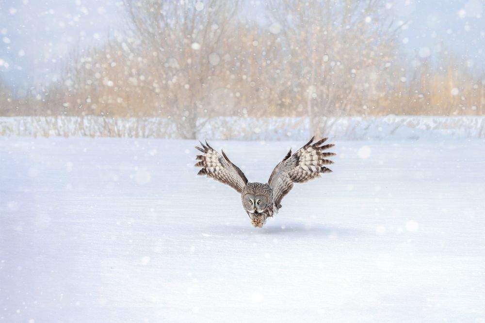 Photograph by Татьяна Тихомирова