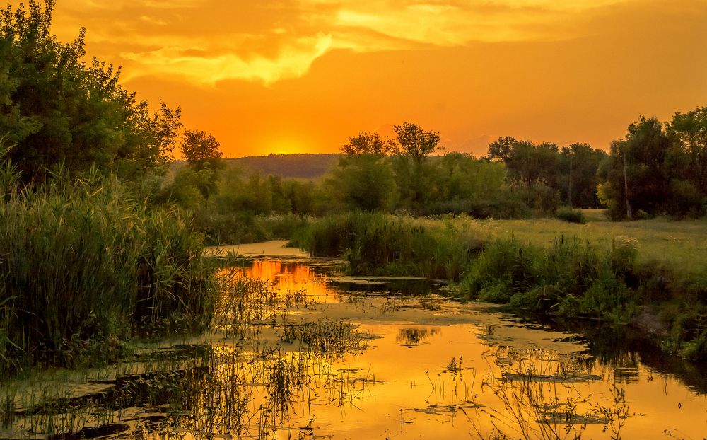 Photograph by Виталий