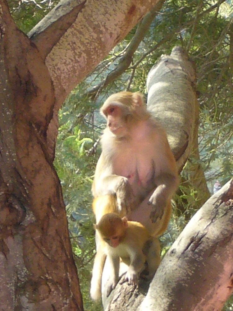 Photograph by Мария Самоловова