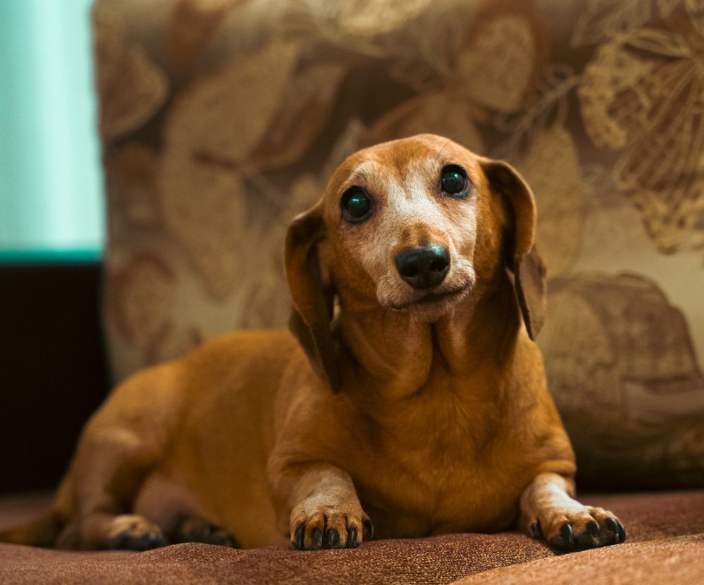 Photograph by Сергей Тишков