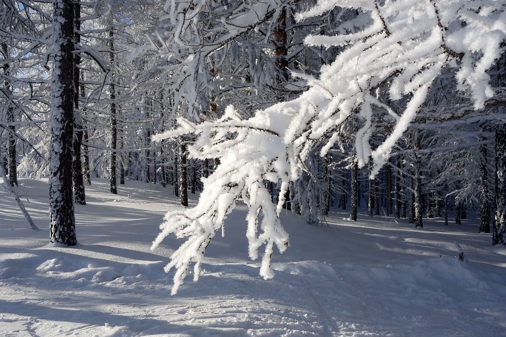 Photograph by Марина