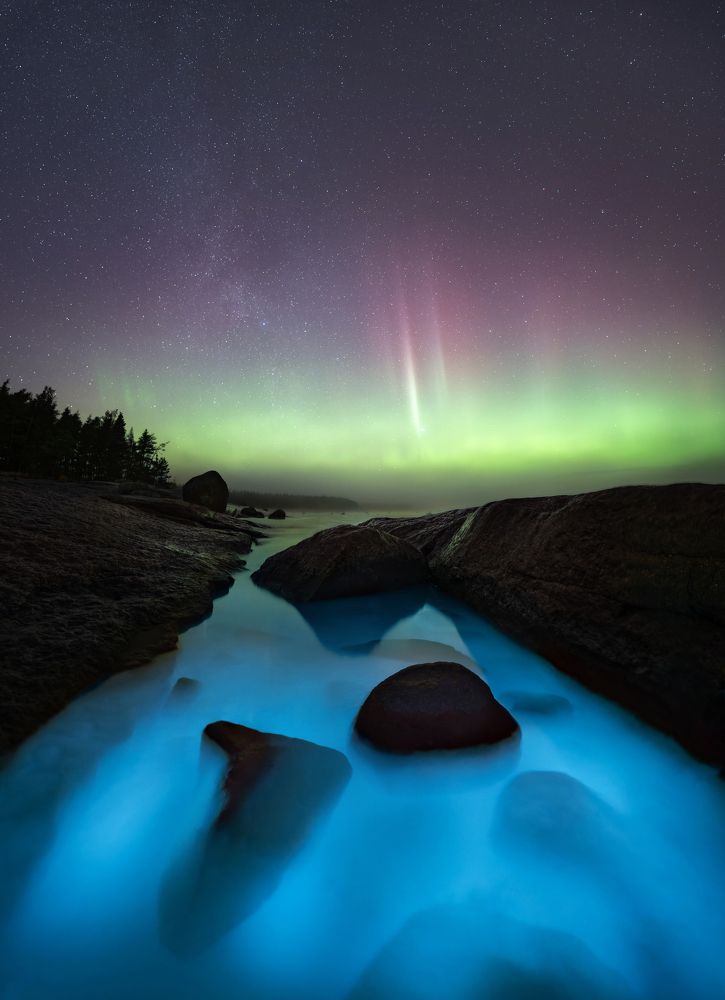 Фотография автора Дарина Соболь