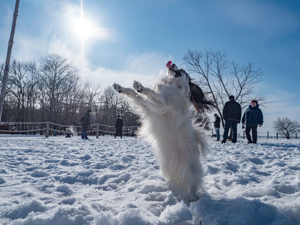 Photograph by Матвей Матвеев