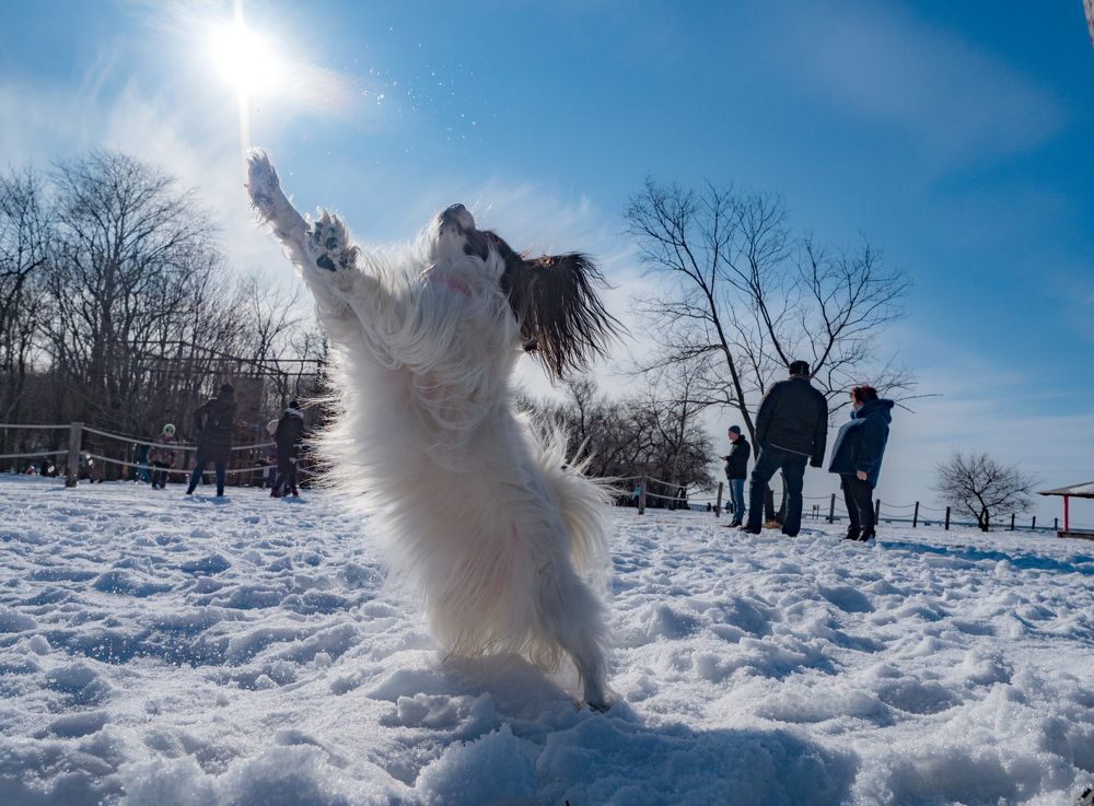 Photograph by Матвей Матвеев